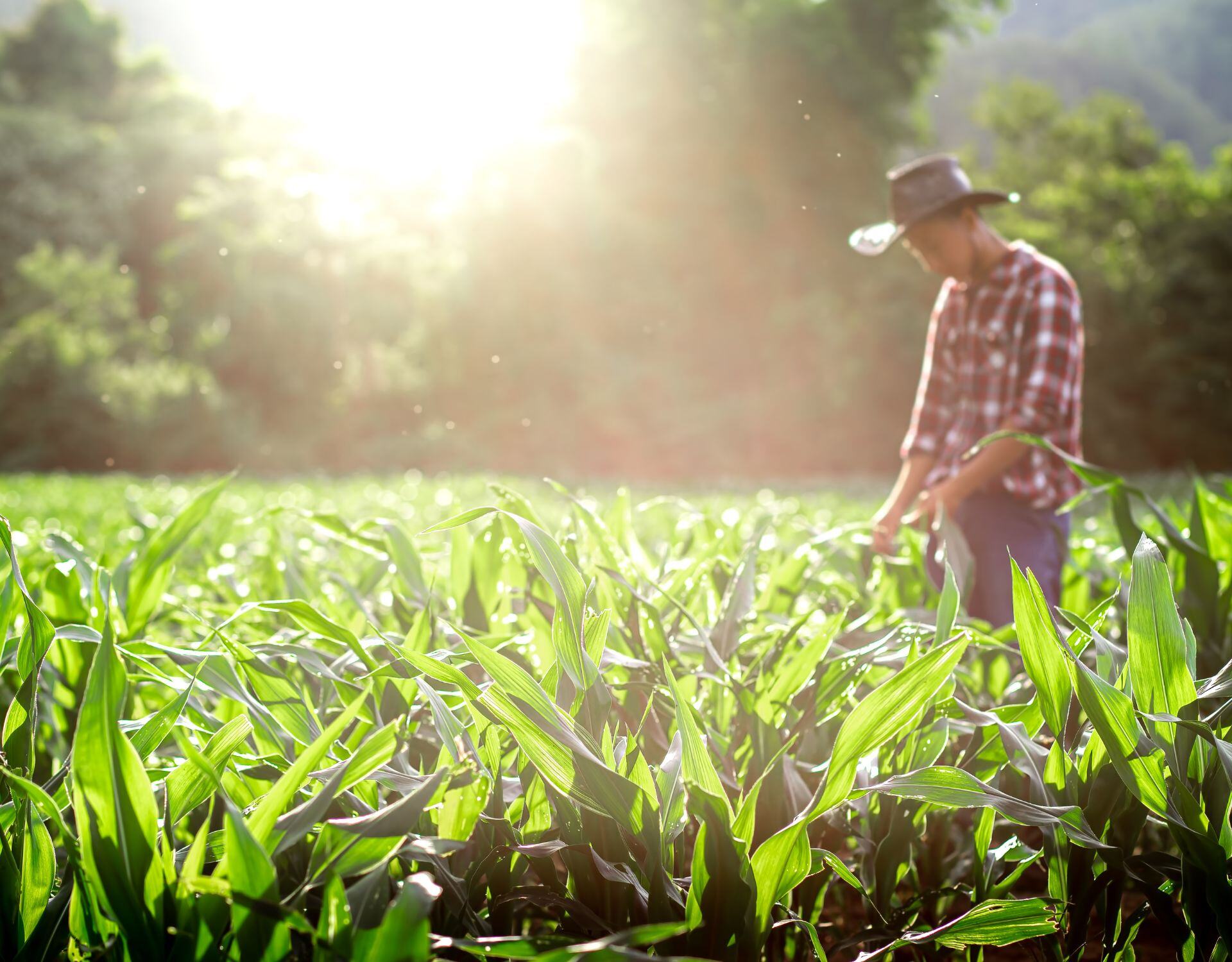 [Blog HubSpot Headers] TITLE (19)
