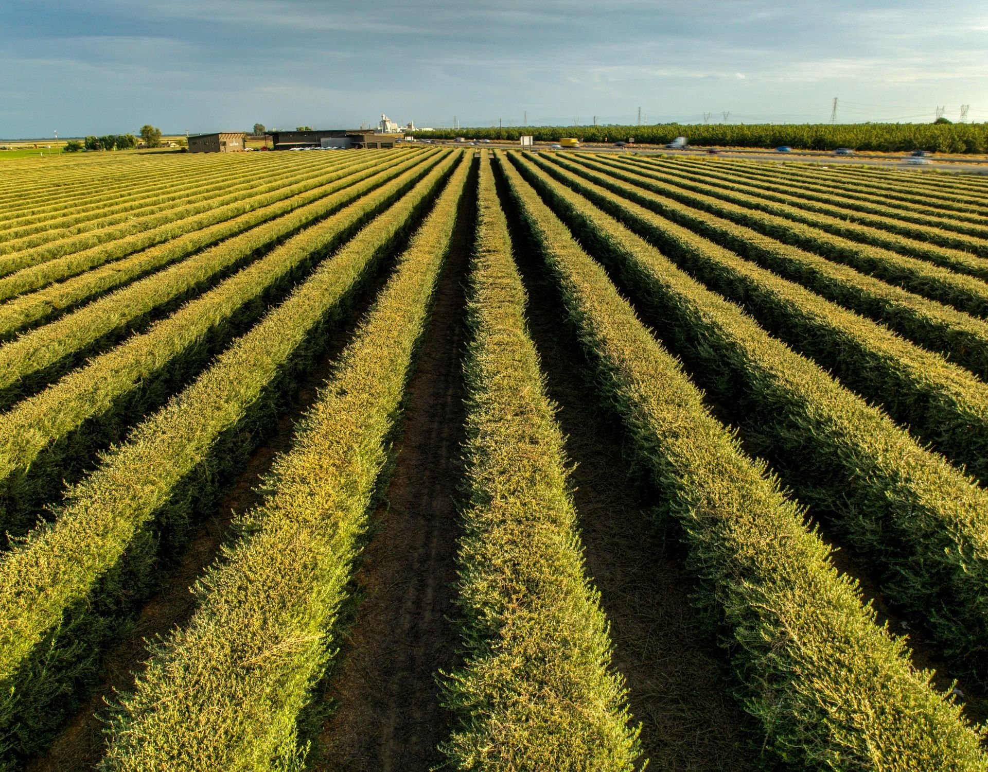 crop protection