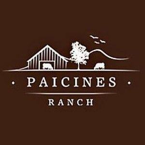 2585-paicines-logo.jpeg_medium