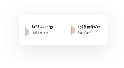 5_Quantification1