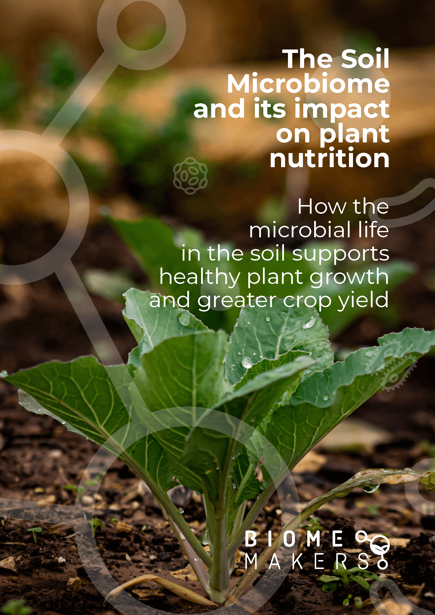 BIO - Soil Microbiome - Portada 2D
