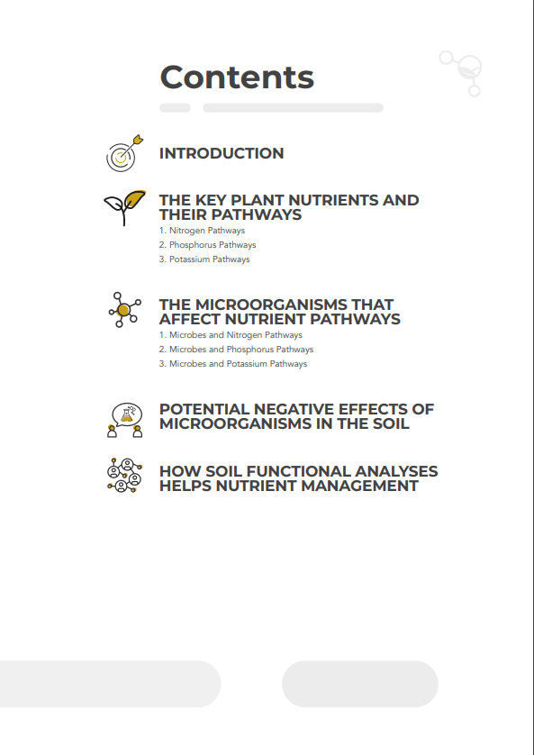 BIO-Soil-Microbiome-eBook-pdf