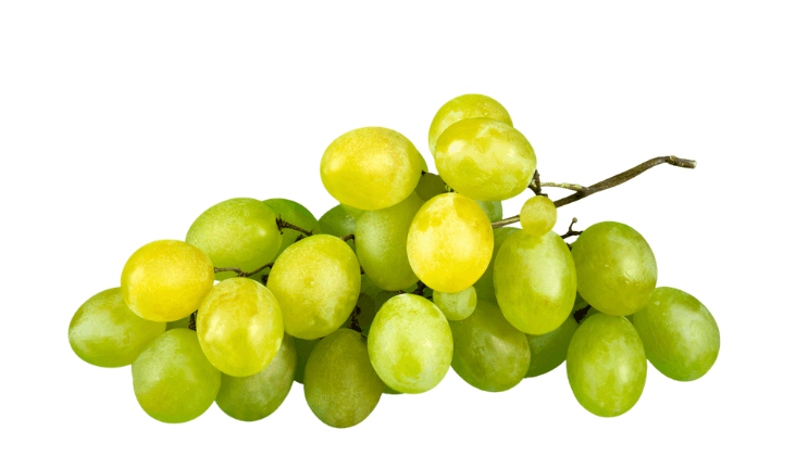 Captura de pantalla 2024-05-23 a las 11.30.23