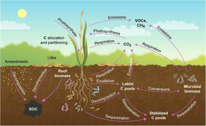 CarbonPathway