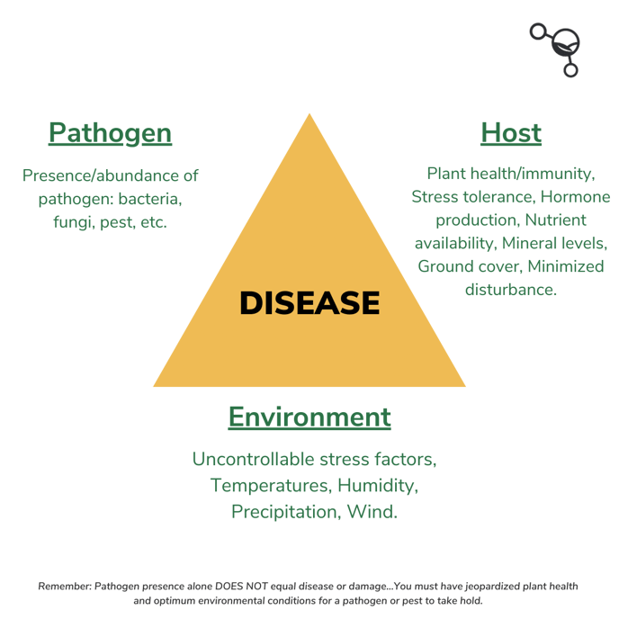 HC_ReportsDiseasesTriangle