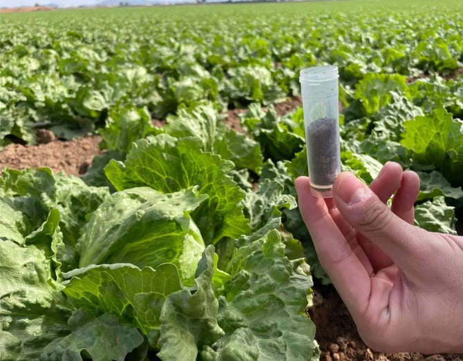 Step-by-Step How to Collect Soil Samples for Soil Testing (3)