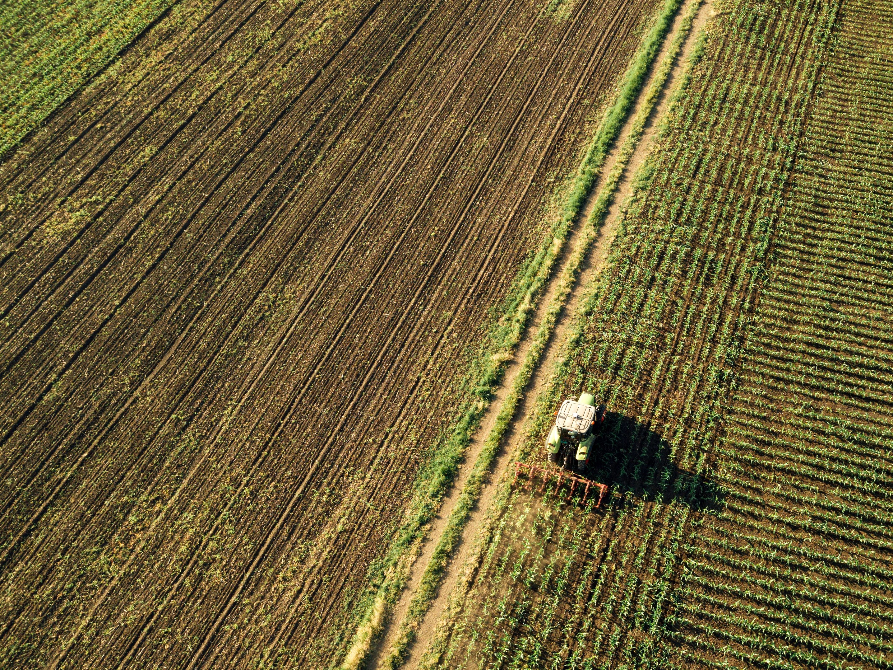 tractor-cultivating-corn-crop-field-aerial-view-2022-02-02-03-48-15-utc