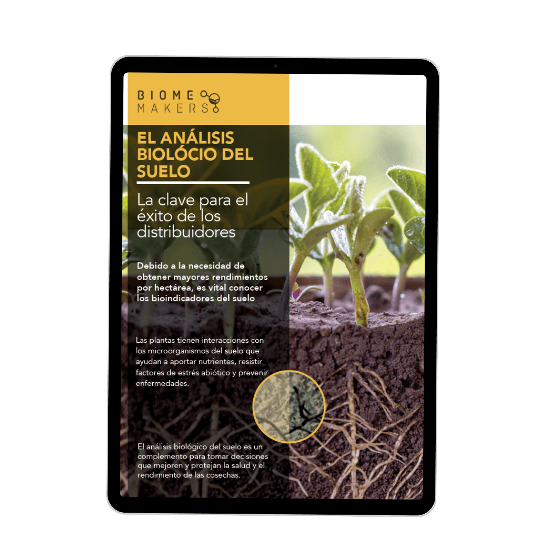 SPANISH -  2223  - Ebook Ads (Instagram Post) (2)
