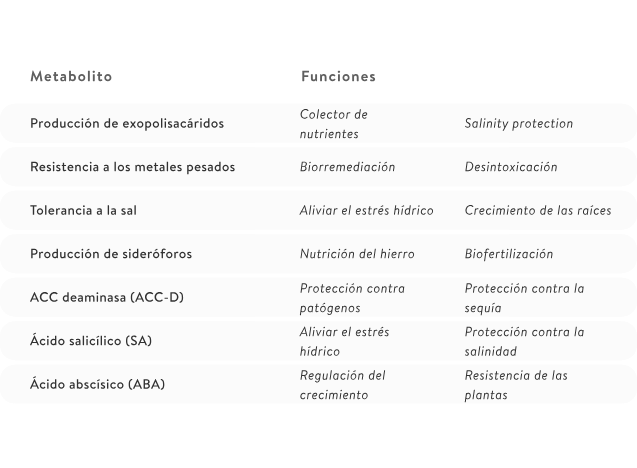 SPA_HC_Diseases_6b