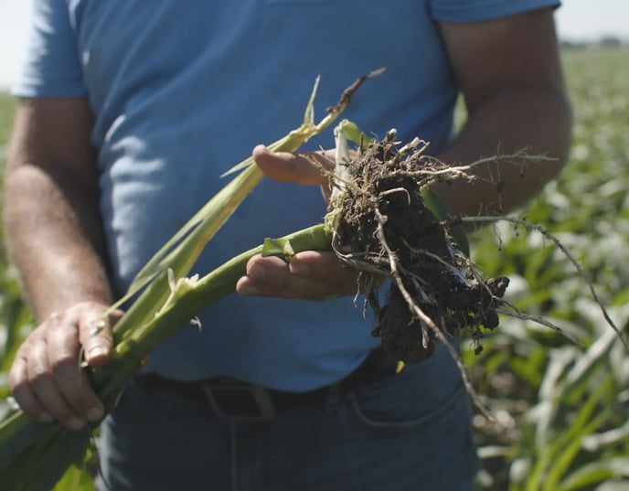 [Blog HubSpot Headers] Predicting soil testing for nutrients and deficiencies