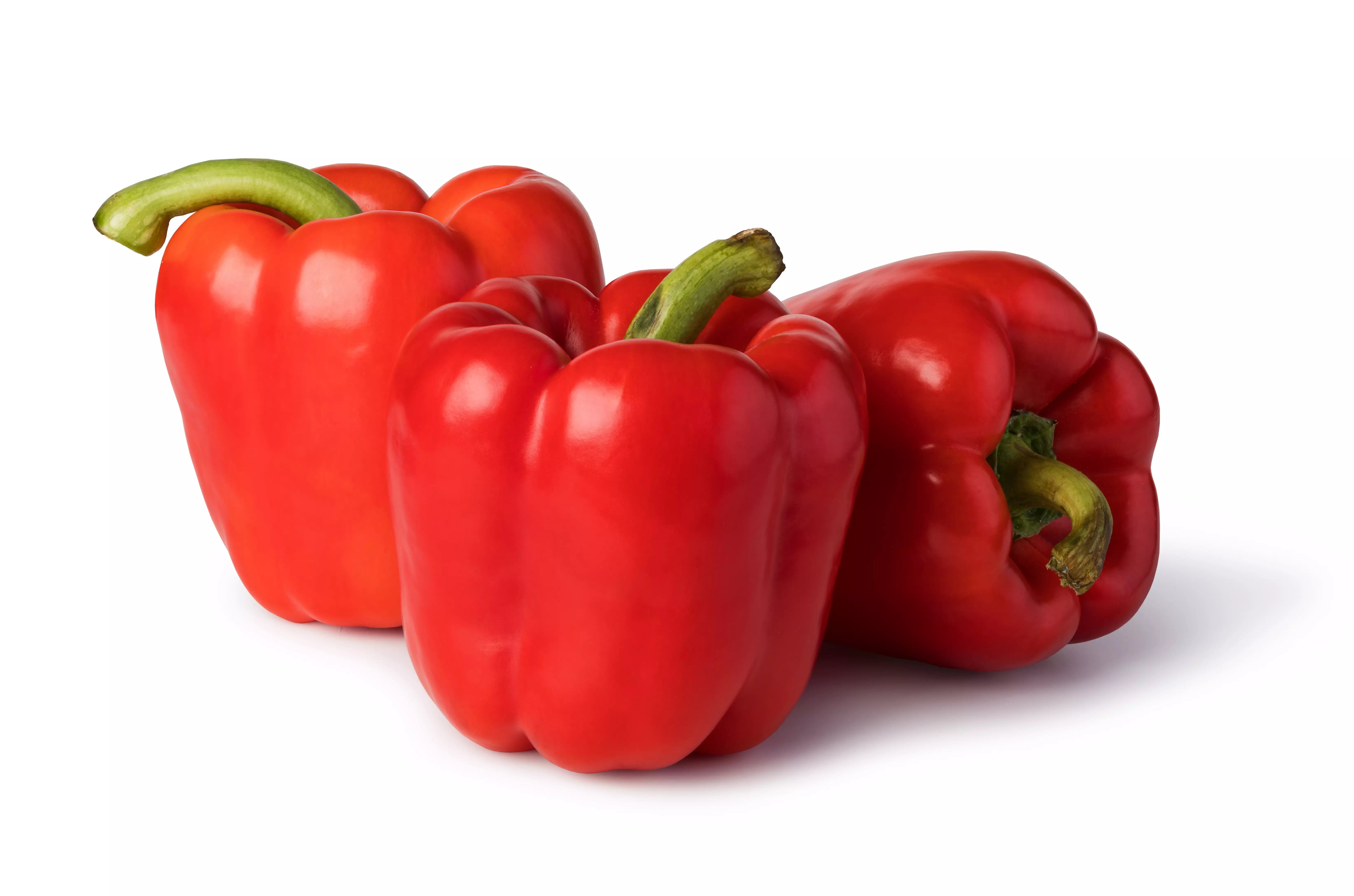 Rogitex inc. bell pepper photo