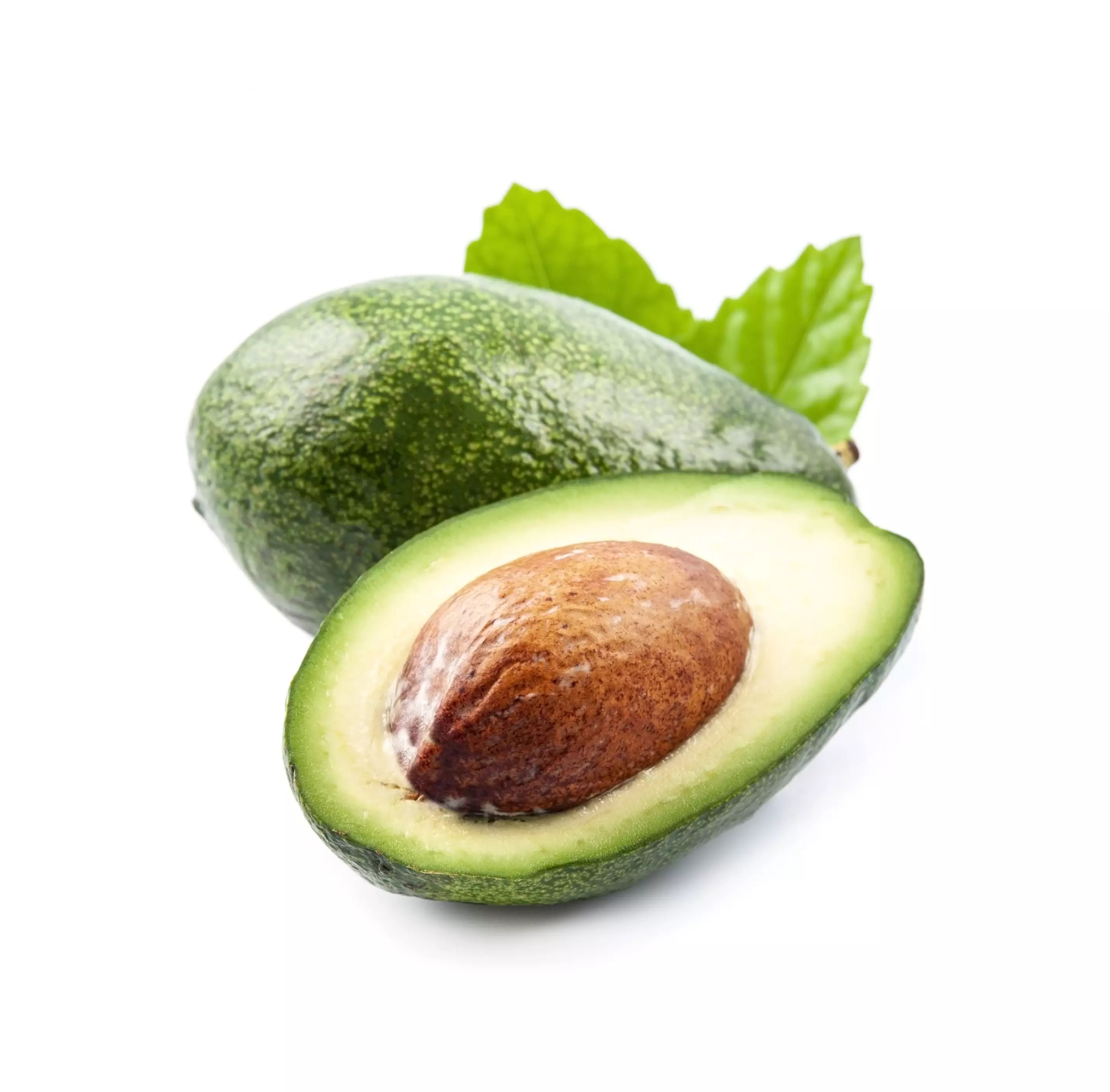 avocado-fruits-2021-12-09-18-08-23-utc copy