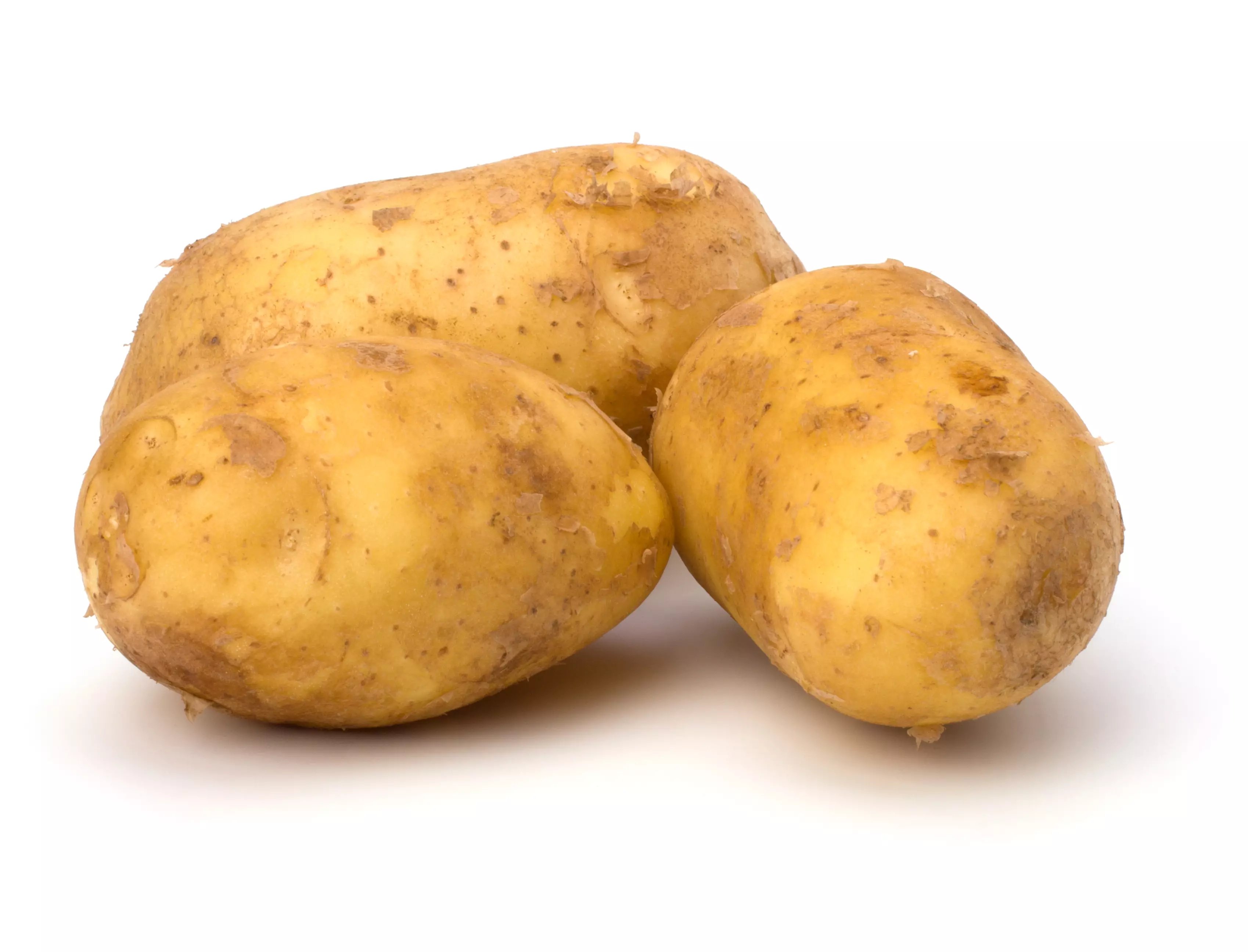 potatoes-2021-08-30-19-07-33-utc copy