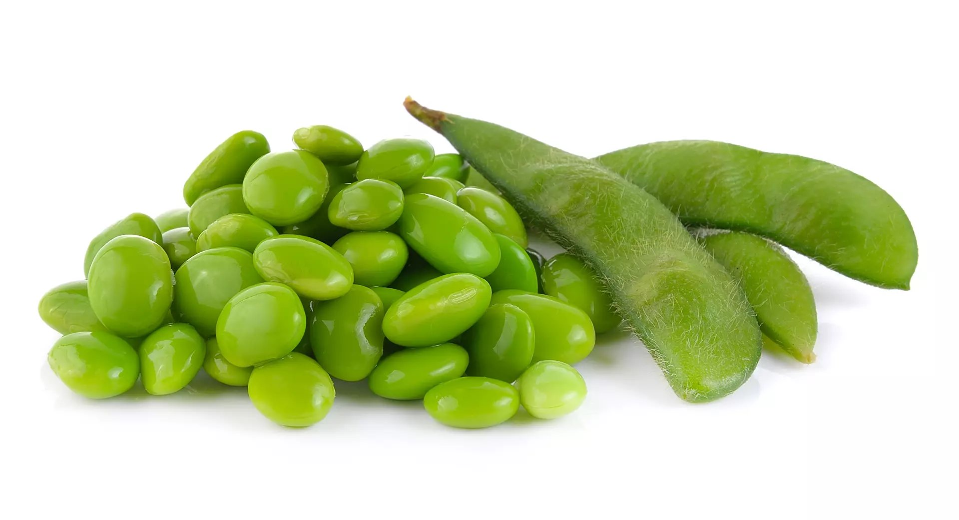 soy-beans-on-white-background-2021-09-03-19-07-11-utc copy