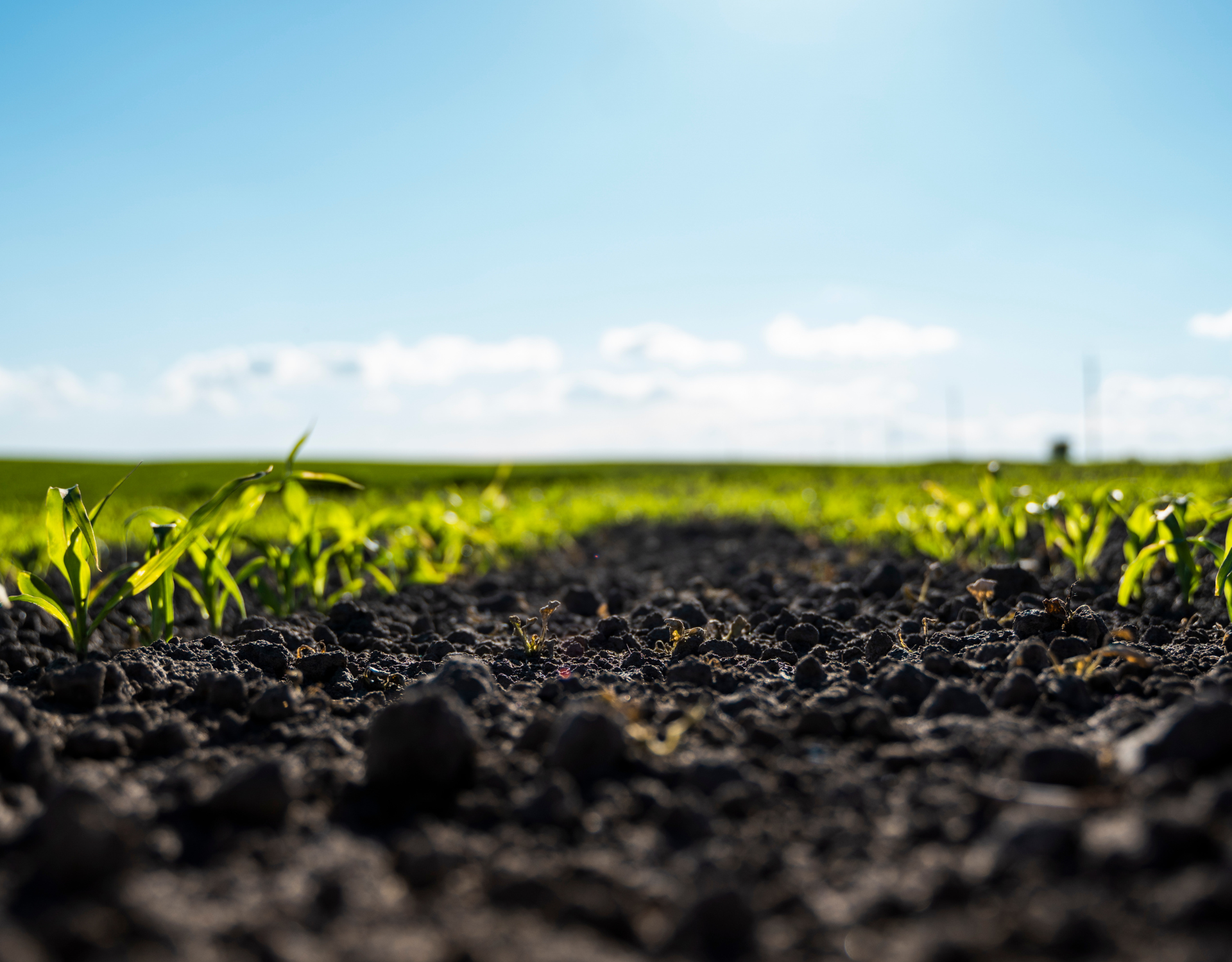 What You’re Not Measuring Might Be Costing You Yield