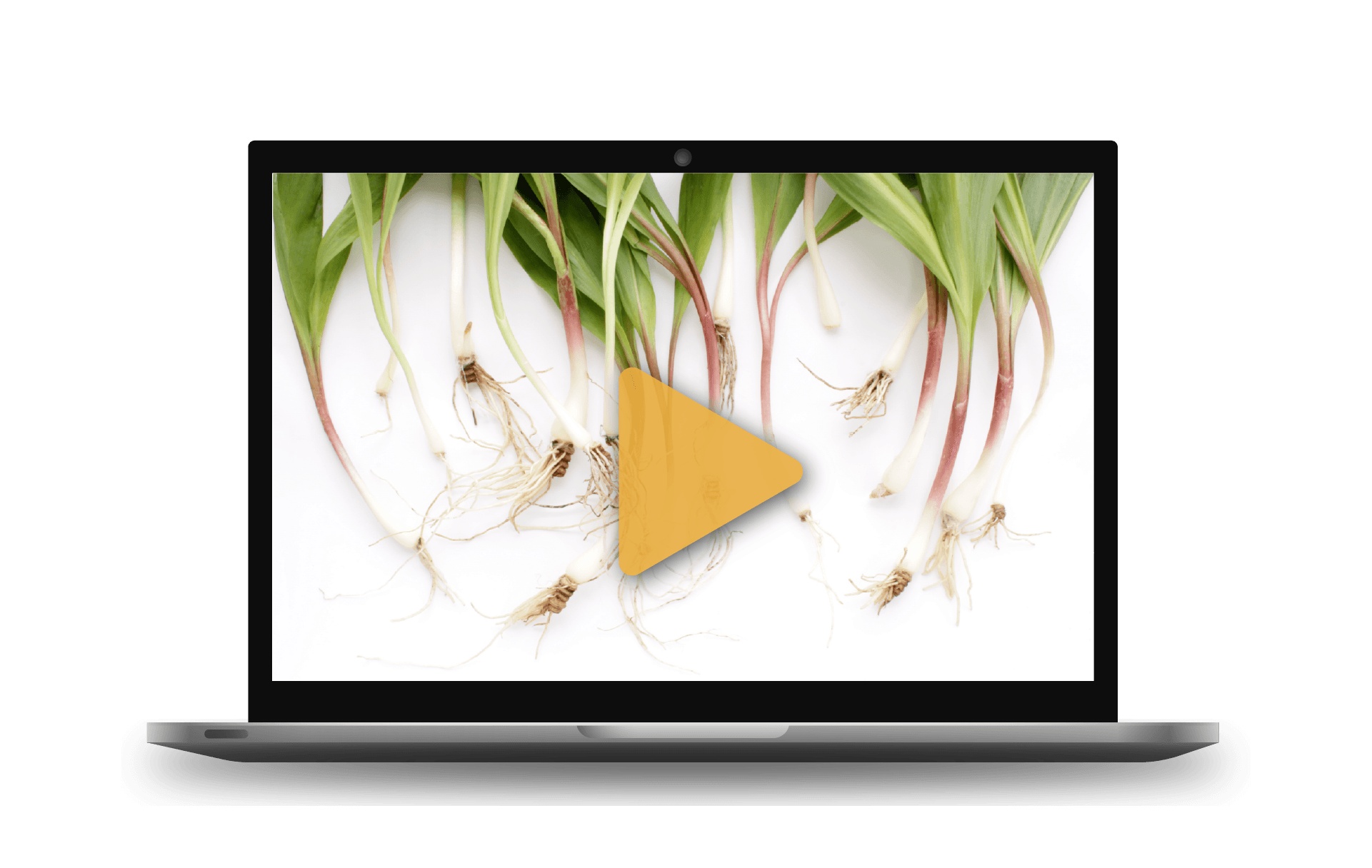 on-demand-webinar-becrop-as-a-product-development-tool