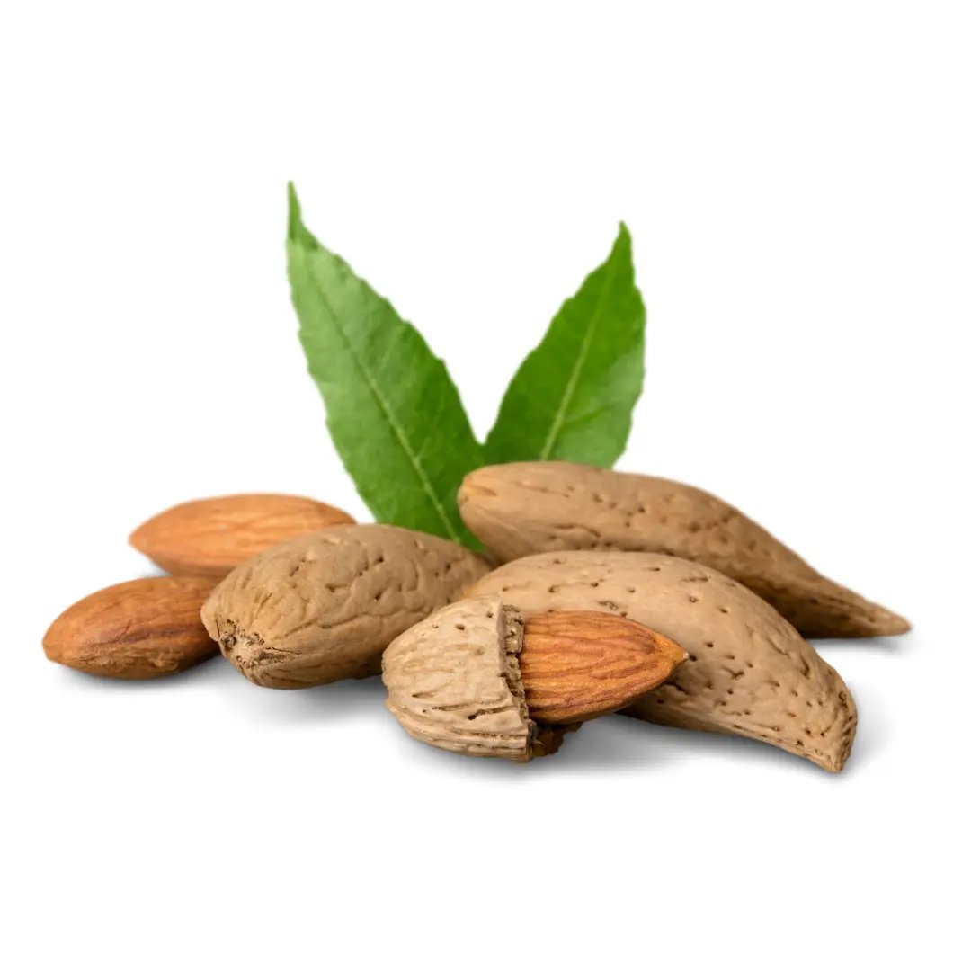 almond