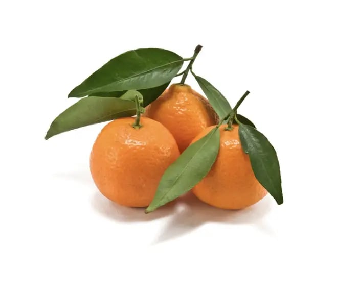 citrus