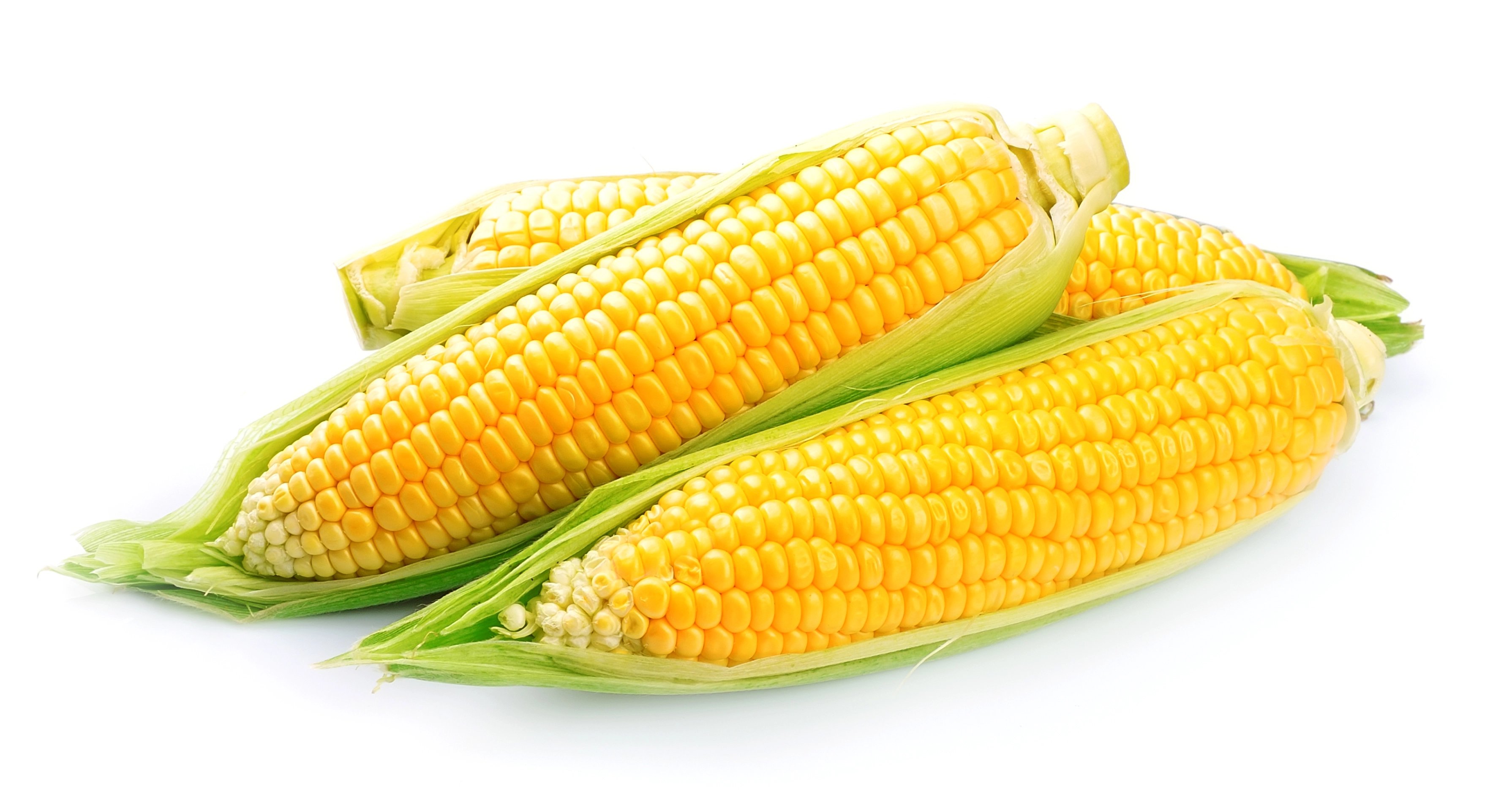 corn-vegetables-2023-11-27-05-14-57-utc